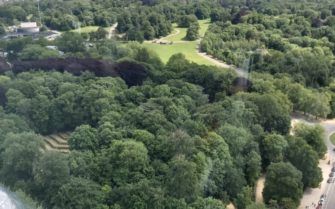 An article about the Cameroonian poet, playwright Blaise Kaptue Fotso