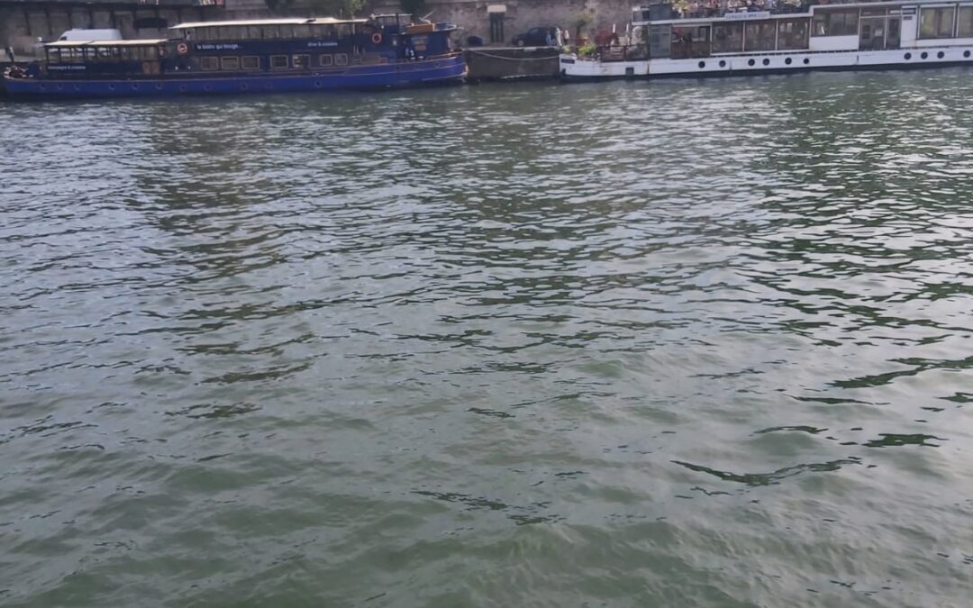 The Snowbird and the Fragrance of the Desert