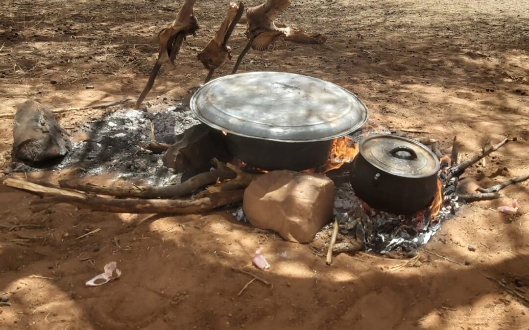 Sudan: A Struggle Marked by Hunger… and Miserable Alternatives