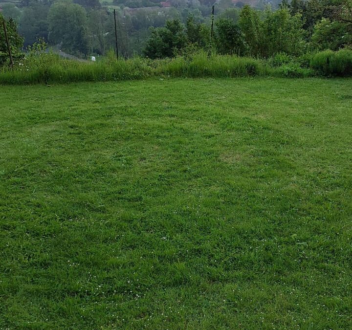 The Flavor of Dark Dungeons