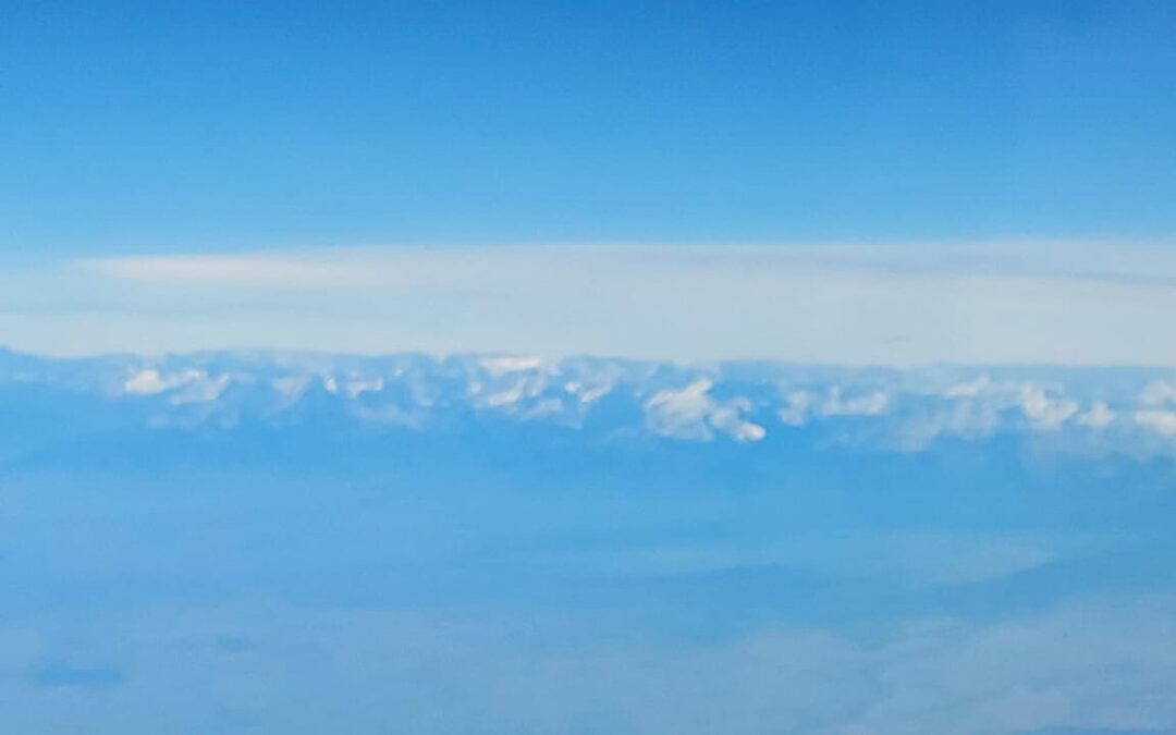 Song in the Garden of Snow