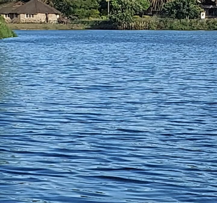 Thorns of Water and the Rust of Diamonds